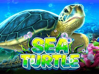 SeaTurtle.jpg