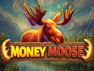 MoneyMoose.jpg